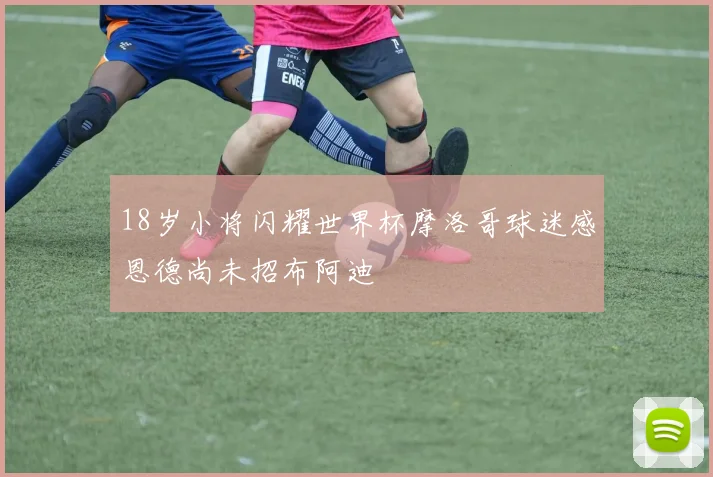 18岁小将闪耀世界杯摩洛哥球迷感恩德尚未招布阿迪